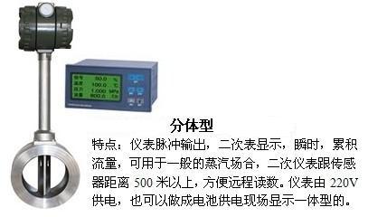 氫氣流量計分體型產品特點圖